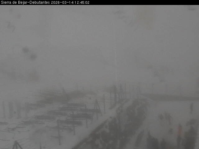 Webcam en Zona de Debutantes