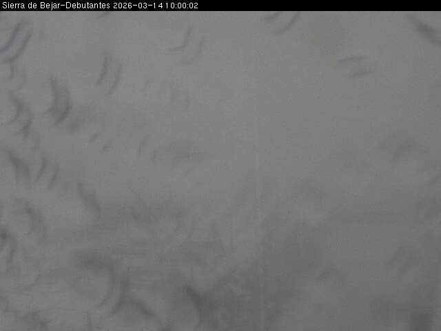 Webcam en Zona de Debutantes