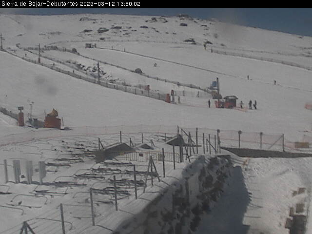 Webcam en Zona de Debutantes